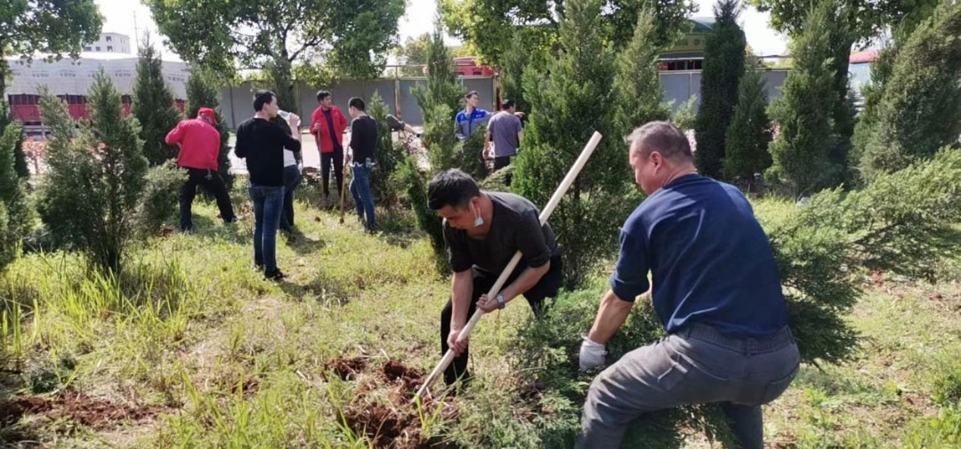 building-an-ecological-environment-and-creating-a-green-and-environmentally-friendly-home3.jpg building-an-ecological-environment-and-creating-a-green-and-environmentally-friendly-home3.jpg