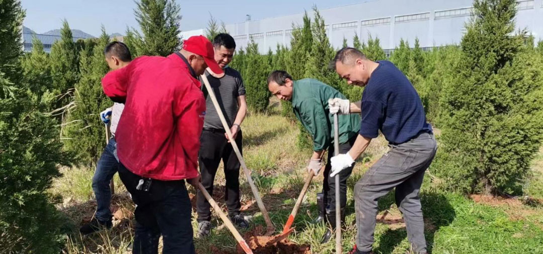 building-an-ecological-environment-and-creating-a-green-and-environmentally-friendly-home2.jpg building-an-ecological-environment-and-creating-a-green-and-environmentally-friendly-home2.jpg